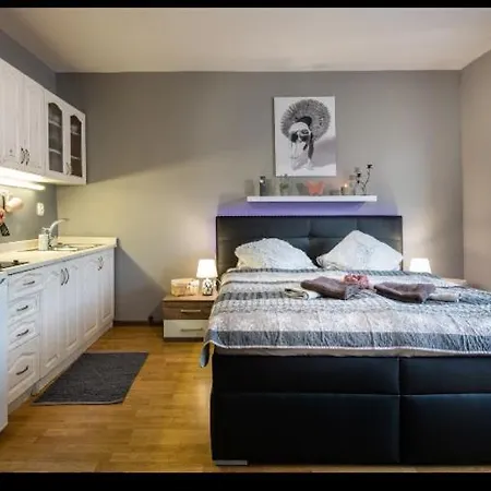 Zara Superior Διαμέρισμα *